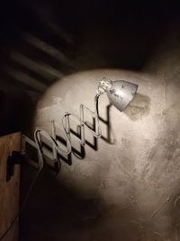 Lampada industriale con soffietto prodotta negli anni '60 con cupolino completamente orientabile – miniatura 10