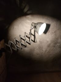 Lampada industriale con soffietto prodotta negli anni '60 con cupolino completamente orientabile – miniatura 14