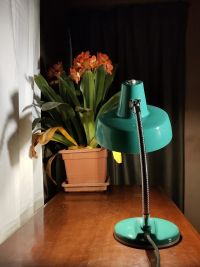 Lampada industriale da scrivania anni 60 - Color verde acqua – miniatura 10