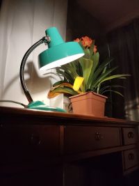 Lampada industriale da scrivania anni 60 - Color verde acqua – miniatura 6