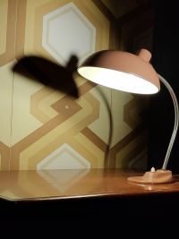 Una lampada industriale da scrivania ma di grande eleganza! – miniatura 3