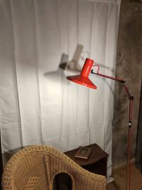 Questa piantana è davvero un pezzo particolarissmo! – miniatura 12