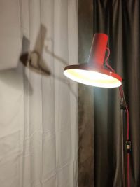 Questa piantana è davvero un pezzo particolarissmo! – miniatura 11
