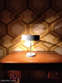 Linearità della forma, bellezza del colore – miniatura 8