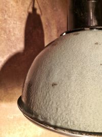 Original vintage pendant light in light green with curved glass, 1970s – thumbnail 13