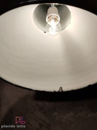 Lampada a sospensione vintage verde a collo lungo, Polonia anni '60 – miniatura 6