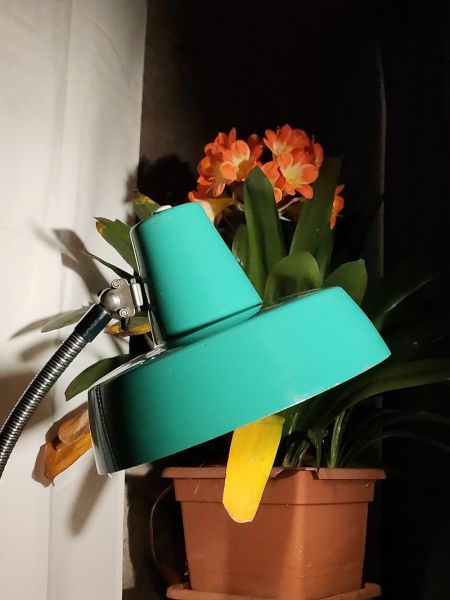 Lampada industriale da scrivania anni 60 - Color verde acqua